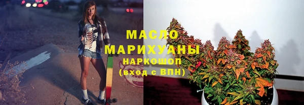 скорость Ельня