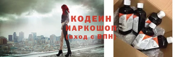 скорость Ельня