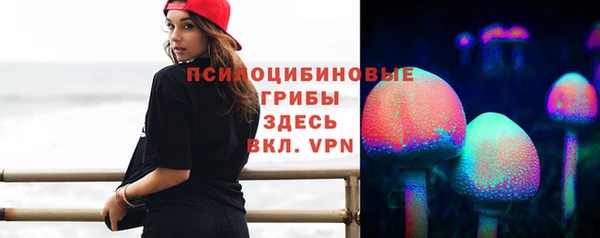скорость Ельня
