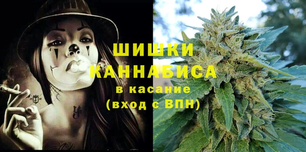 скорость Ельня