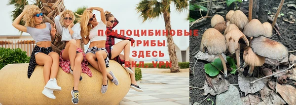 таблы Елизово