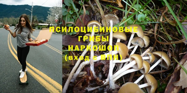 таблы Елизово