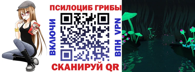 Галлюциногенные грибы Psilocybine cubensis  магазин продажи наркотиков  Тетюши 